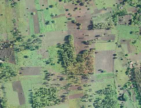 Drone Imagery in Uganda
