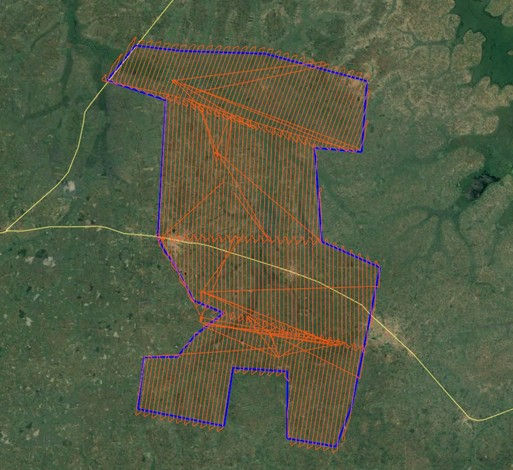 Aerial survey flight path
