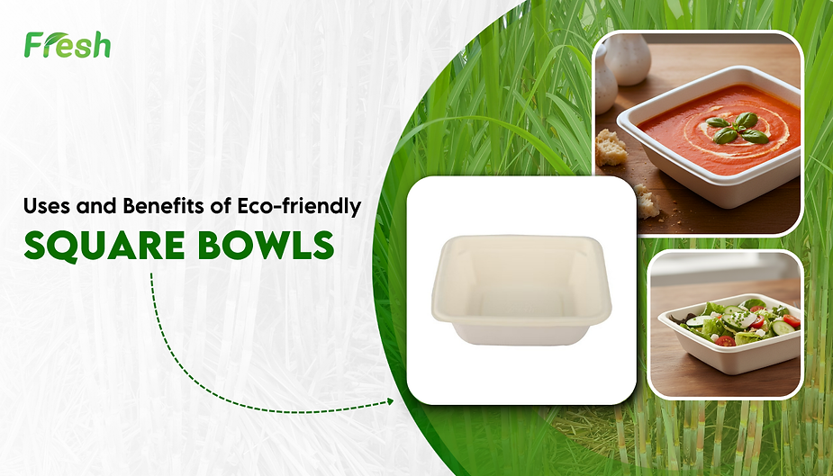 Uses and Benefits of Eco-friendly Square Bowls