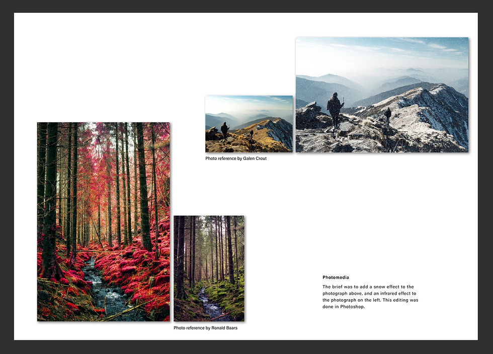 Portfolio Pg12