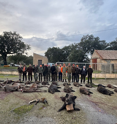 Montarias December 2025