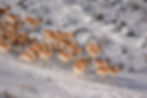 DSC_2432 copy copy2