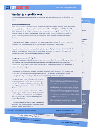 Cover van de PDF "Wat het je werkelijk kost", over de zichtbare en onzichtbare kosten van een dwangmatig patroon.