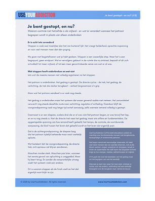 Cover van de PDF "Je bent gestopt - en nu?"- over waarom controle niet hetzelfde is als vrijheid.