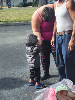 Port Richey FL