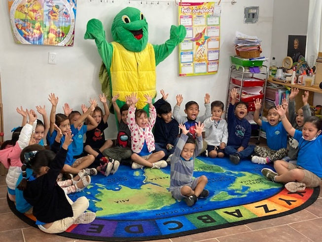 students raising hands in class