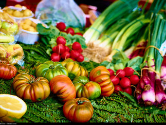 Mediterranean Diet Enhances Elderly’s Mental Health, Study Discovers