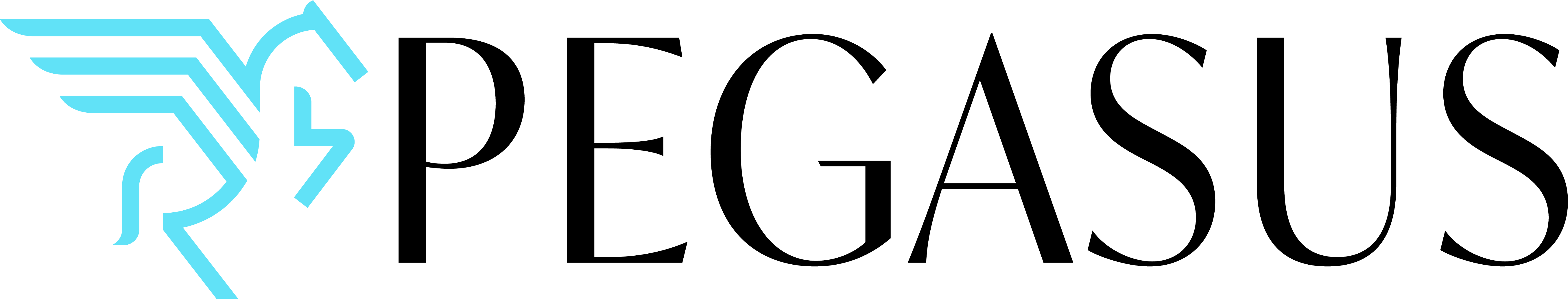 Pegasus Global