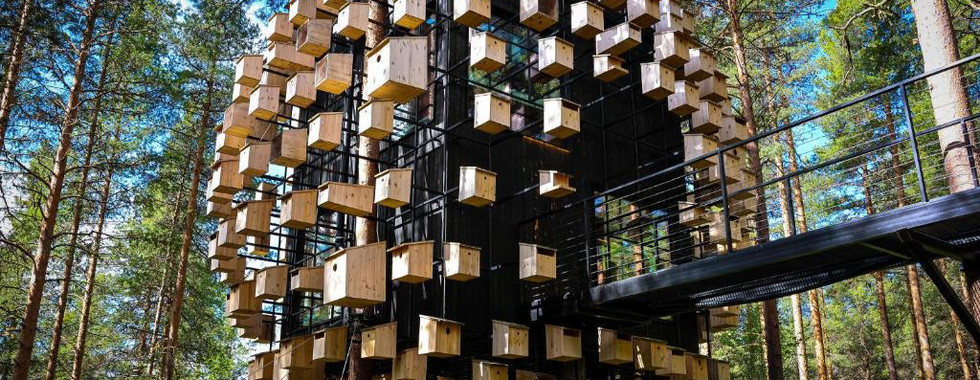 Treehotel cabane dans les arbres