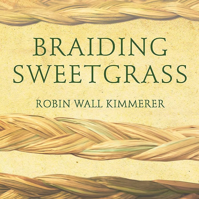 Audiobook cover for “Braiding Sweetgrass” by Robin Wall Kimmerer. Minimalist design featuring golden woven sweetgrass braids against a cream background with subtle sand ripples at top and bottom. Green serif title text.