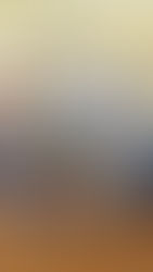 Stiprina sadarbību pieaugušo izglītības jomā