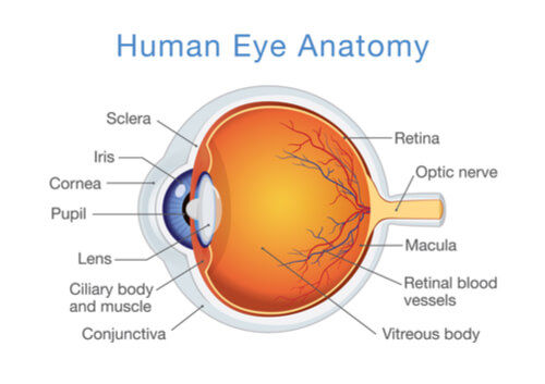 eye2