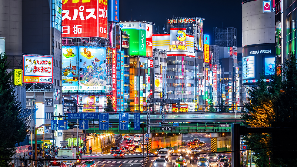 Shinjuku Tokyo Night Life