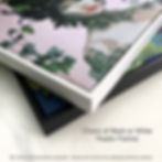 Thumbnail: Floater Frames for Canvas Prints