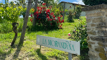 Screenshot 2024-07-30 092554.png