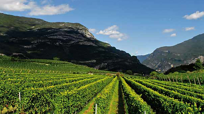 Screenshot 2024-01-17 112457.png