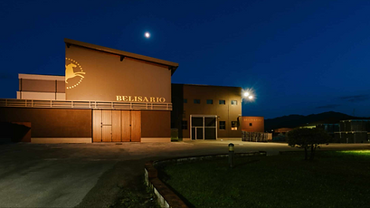 Screenshot 2025-02-18 105701.png