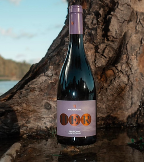 Screenshot 2025-05-28 112208.png