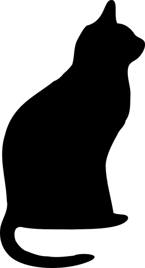 black cat.png