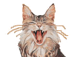 ha gif.gif