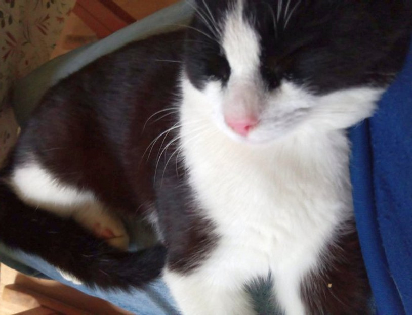 v20260629_kater.jpg