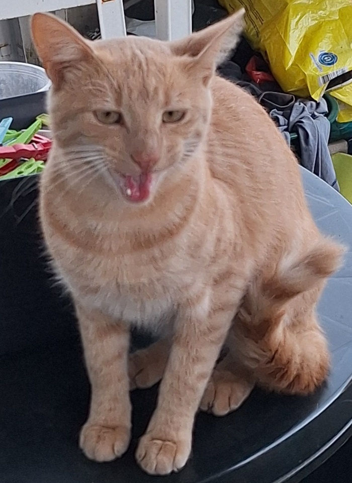 g20260818_kater.jpg