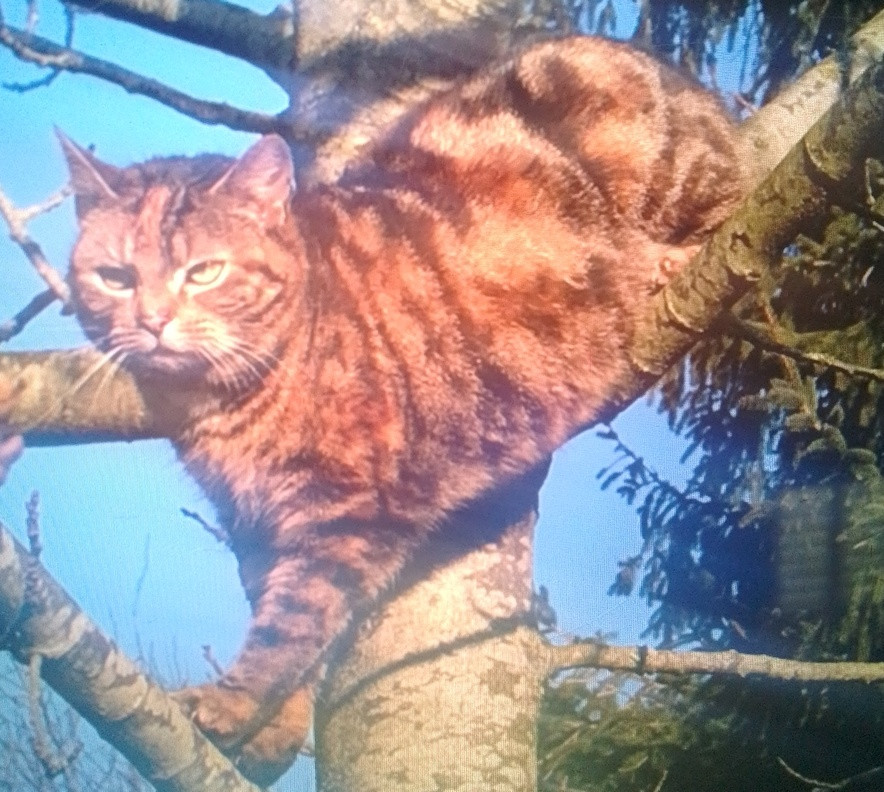 v20260613_luzie.jpg