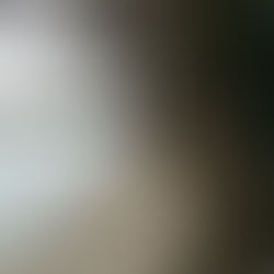 Le vaisseau de pierre tangue sur la Seine