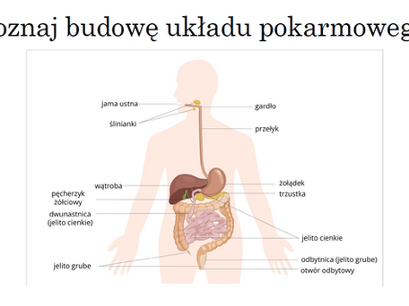 Poznaj choroby układu pokarmowego!