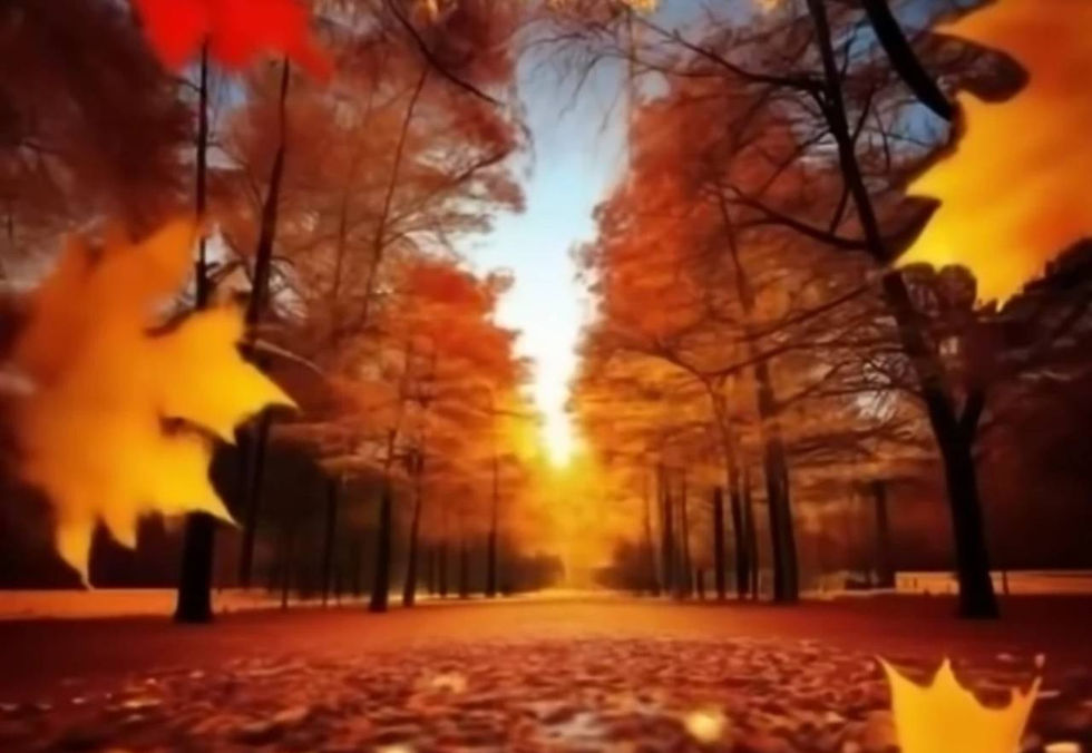 Un viale alberato in autunno, visto dal basso verso l'alto, con foglie dai toni caldi di arancione e giallo. In fondo, il sole appare luminoso, simboleggiando nuove possibilità e rinascita dopo la fine di una relazione