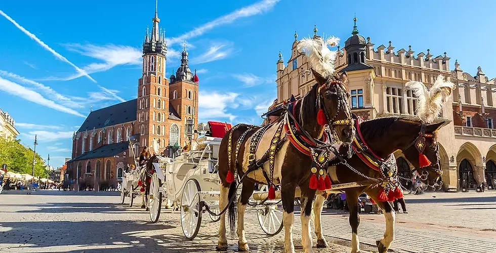 Tour in Polonia meridionale: da Cracovia a Breslavia, due città di grande rilevanza storica, che conservano splendidi monumenti d'arte. .