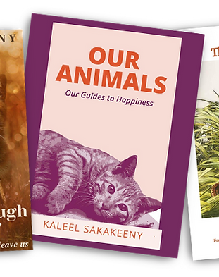 eBooks.png