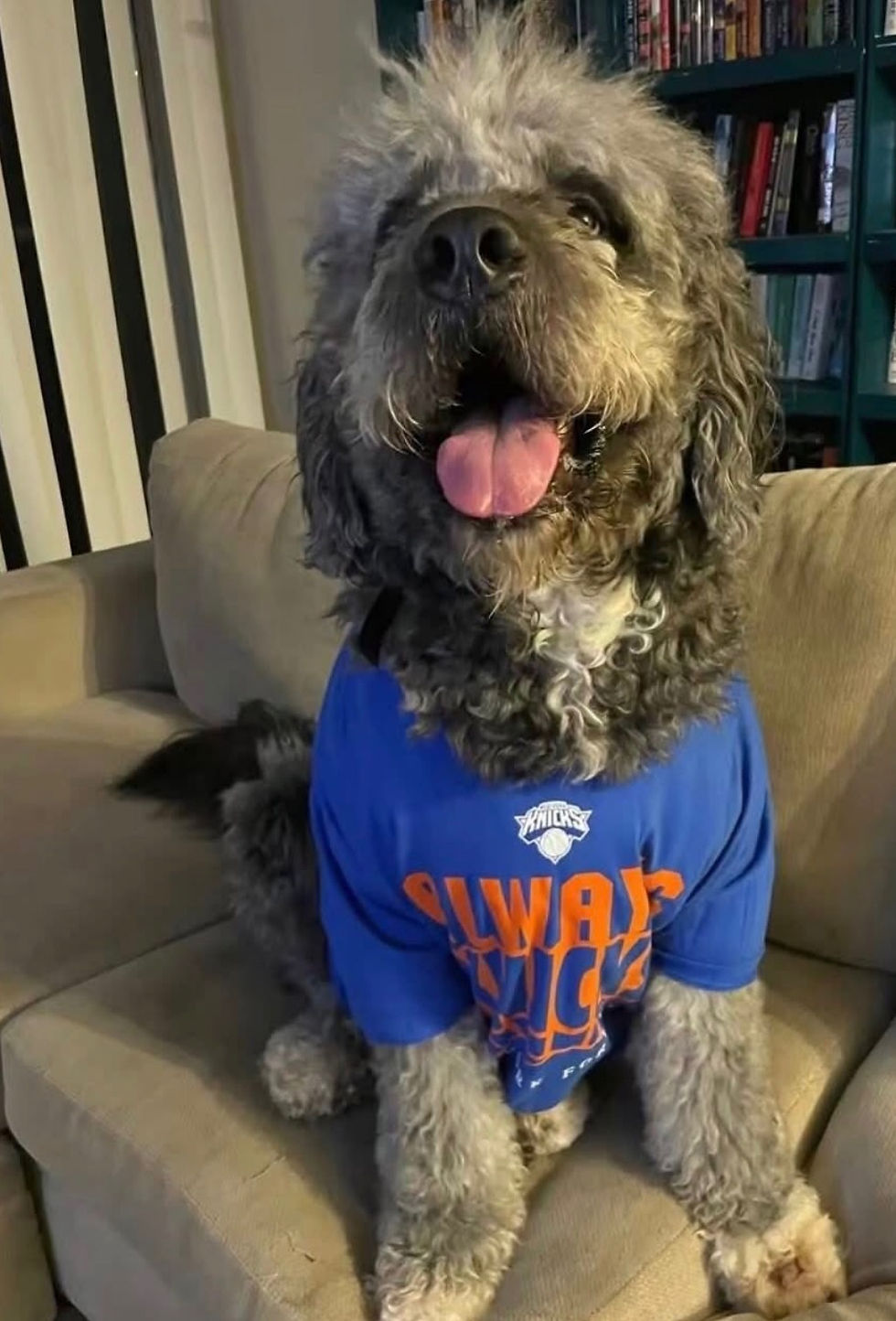 Knicks Dog Jameson