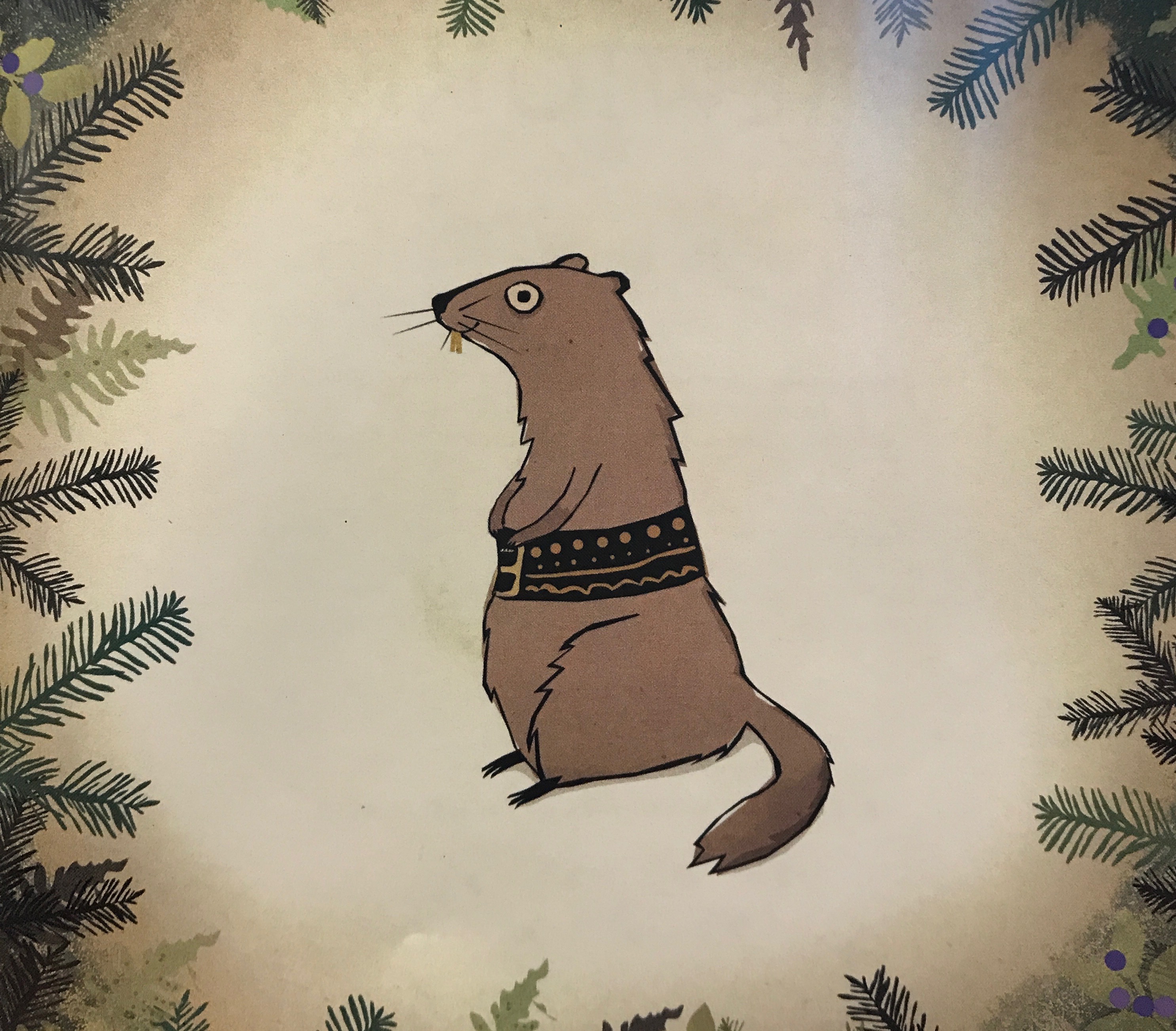 Marmot with Goralski belt