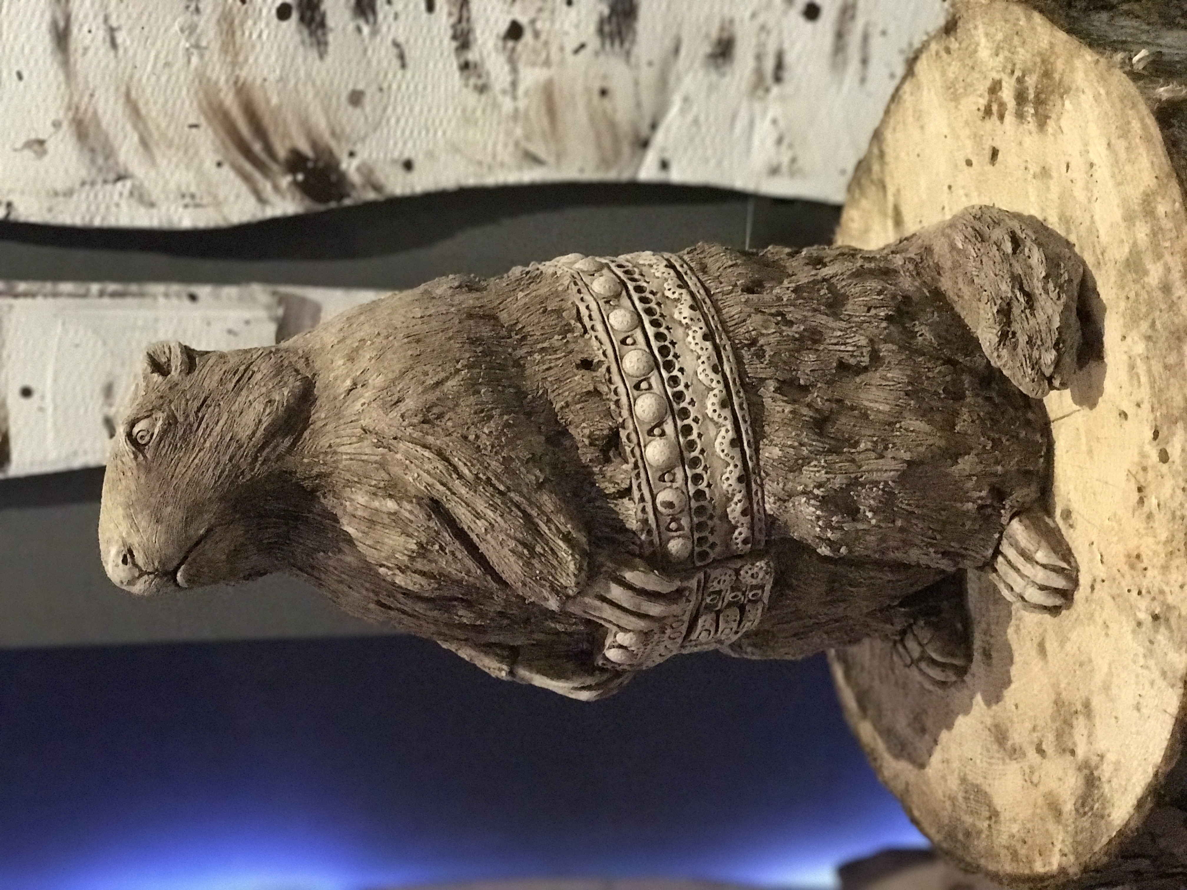 Alpine Marmot/Highlander Belt - Świs