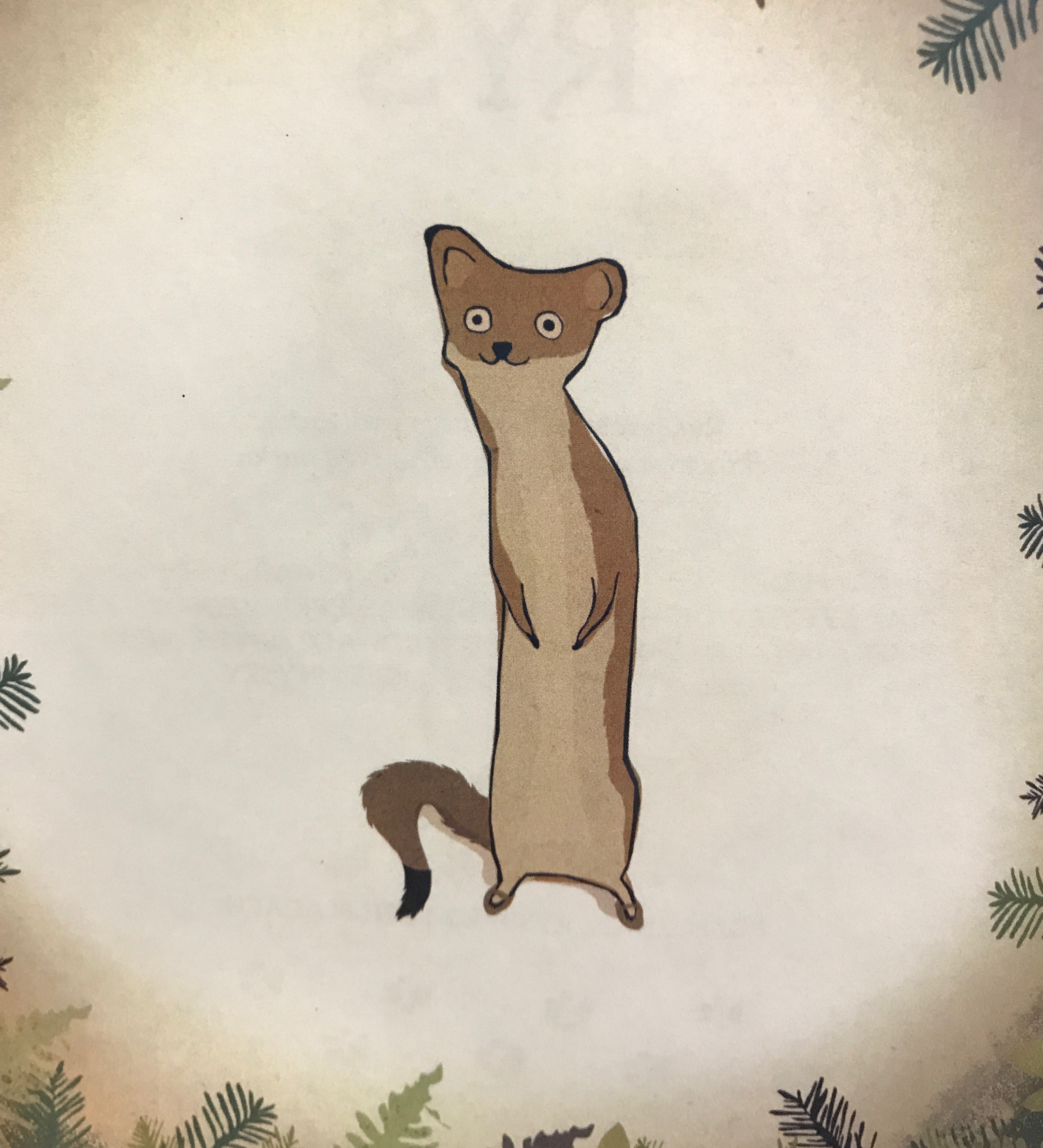 Stoat with Kapce