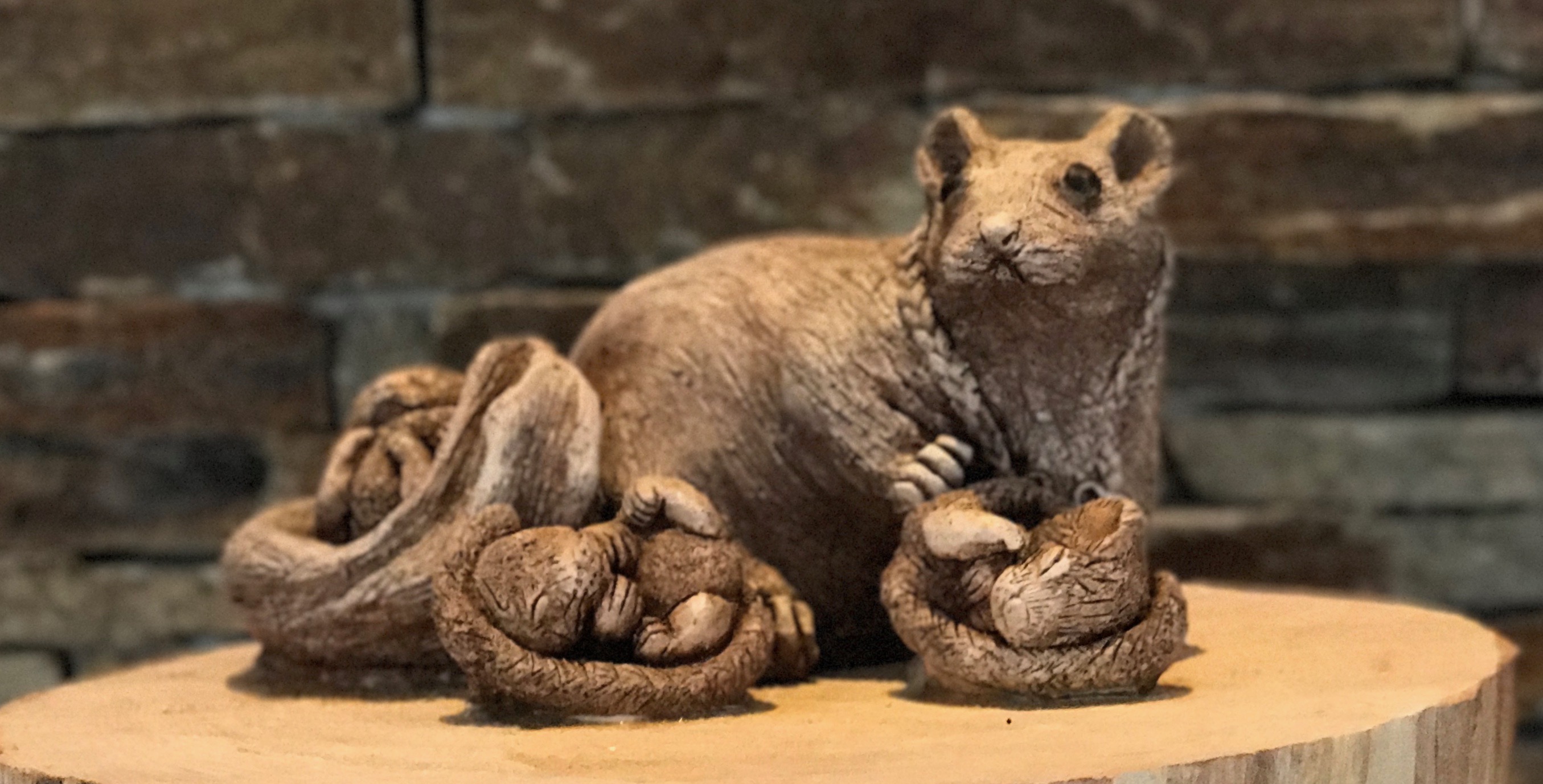 Edible Dormouse/Highlander Braids -