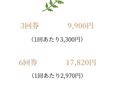 よもぎ蒸し回数券スタート!
