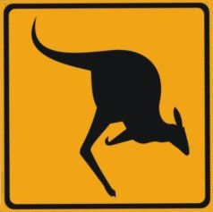 kangaroo sign on the front cover of Wayback