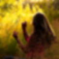 DSC_8488i.png