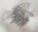0c2365_0d1431a323cc434584766f4877c0730c~mv2.jpg