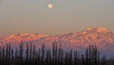 Mendoza.3.jpg