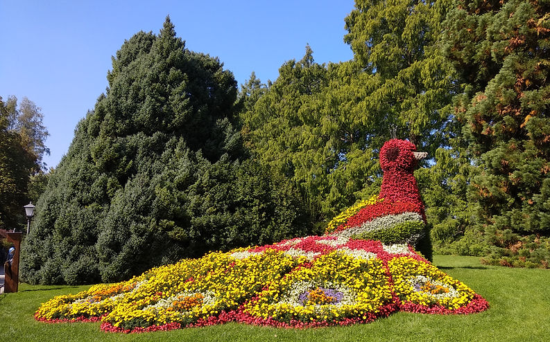MAINAU 5.jpg