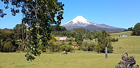 RESTAURANTE VIENTO SUR, Puerto Montt - Cardápio, Preços & Comentários de  Restaurantes