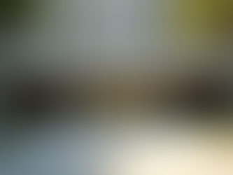 Florida Apostille Services: What You Need to Know