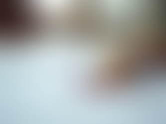 Mastering Notary Services: Top 5 Essential Tips for Success