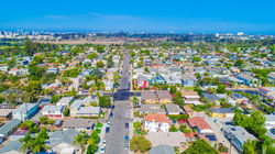 3024 Palm-103