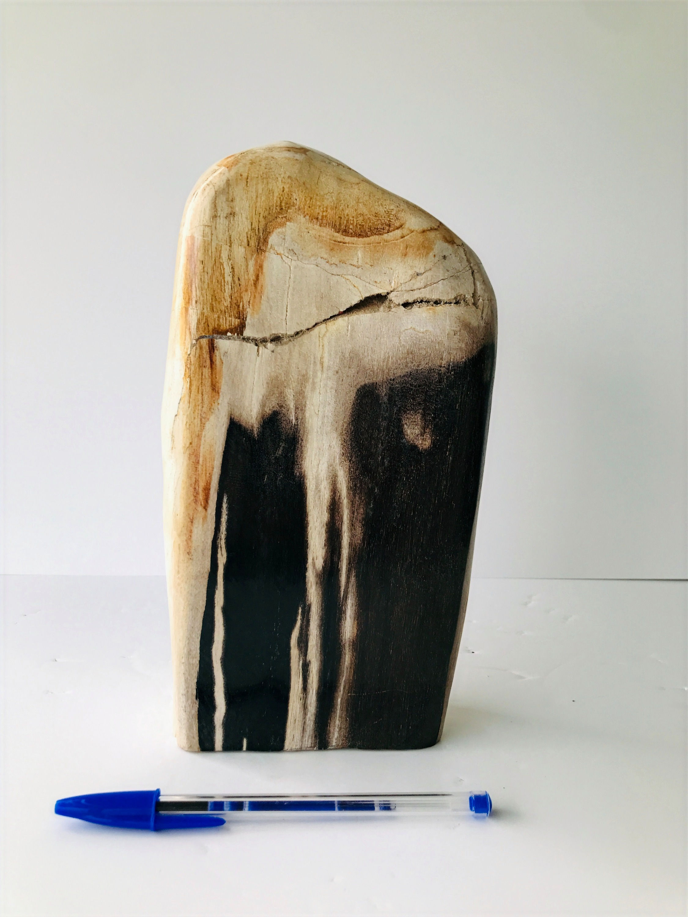 Bois fossilisé // Pierre de Travail