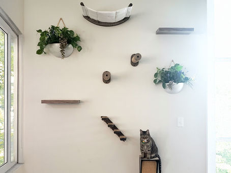 A cat sitting on a perch of a custom designed cat wall