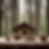 Cedar Grove Cabin